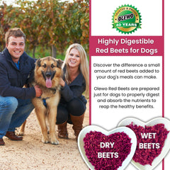 Olewo Red Beets dehydrated chunks highlight fiber-rich whole-food multivitamin for digestion.