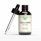 Oliver & Co. Collagen for Dogs bottle-tincture supports joint mobility and canine vitality.