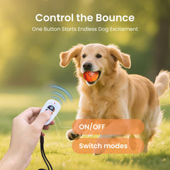 Ollapet ball in bounce mode designed for vigorous backyard sprints