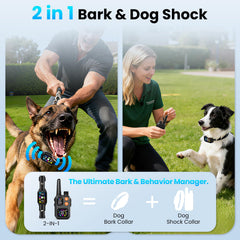 Safety light on Ollapet bark collar helps locate your dog after dark