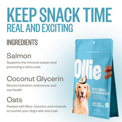 Ollie 5oz triple-pack shows convenient, take-anywhere dog treats.