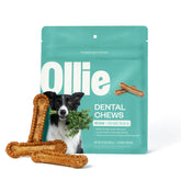 Ollie dental chews bag and treats boost fresh breath for dogs