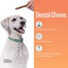 Ollie Dental Chews texture close-up shows chewy form for teeth cleaning.