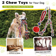 The Olpchee chew ball adds chewing and teeth-cleaning value during play