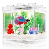 Oltraman betta tank with LED light top view for desk decor and observation