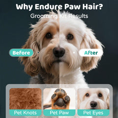 OMYGYM ear plucking powder for dogs softens hair for gentle removal during grooming.