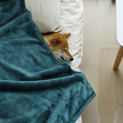 Onarway dog blanket multi-pack display demonstrates four blankets for home and travel.