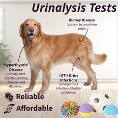 One Step Pet Urine Testing Strips color-chart-closeup for easy interpretation.