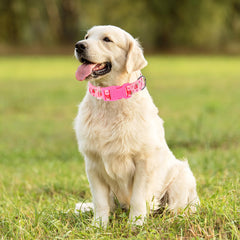 ONEFOJOJO dog collar adjustable fit ensures secure, personalized sizing.