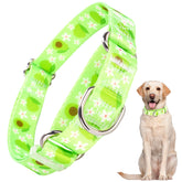 ONEFOJOJO Green Avocado Martingale Collar side view shows durable nylon and comfortable fit