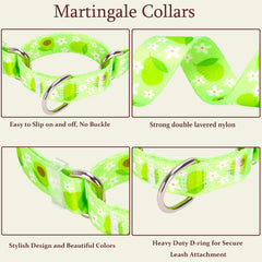 ONEFOJOJO Green Avocado Martingale Collar size-chart aids choosing the right neck measurement