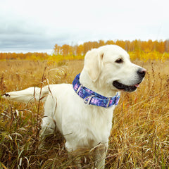 ONEFOJOJO Martingale Collar quick-release buckle enables fast emergency removal.