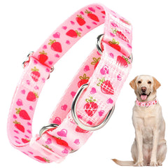 ONEFOJOJO martingale collar pink strawberries closeup highlighting gentle control for daily walks