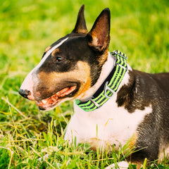 ONEFOJOJO martingale collar quick-release buckle shown for easy emergency removal.
