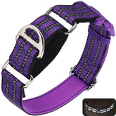 ONEFOJOJO martingale collar with reflective-buckle improves night visibility for dogs.