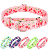 ONEFOJOJO pink cherry martingale collar front view for secure control on walks