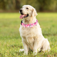 ONEFOJOJO pink floral martingale collar adds cheerful style during dog walks.