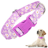 ONEFOJOJO purple dog collar closeup with daisy pattern for daily walks