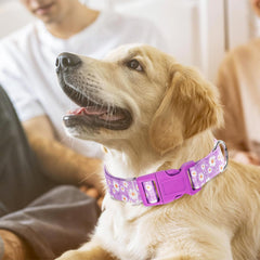 ONEFOJOJO purple collar features a quick-release safety buckle for secure leash use