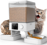 oneisall automatic cat feeder dispenses dry food for two cats, promoting balanced meals