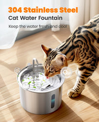 oneisall cat water fountain with quiet pump demonstrates low-noise operation during feeding.
