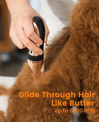 Oneisall paw trimmer close-up showing sharp stainless blade for safe paw trims