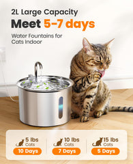oneisall stainless steel cat water fountain top view highlights clean lines and modern appeal.