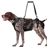 OneTigris breathable dog lift harness back view supports mobility during lifting