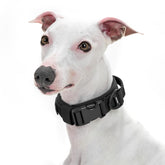 OneTigris small dog collar soft padded adjustable black for comfortable daily walks