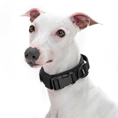 OneTigris small dog collar soft padded adjustable black for comfortable daily walks