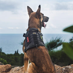 OneTigris Fire Watcher harness 1000D nylon durability for rugged field use