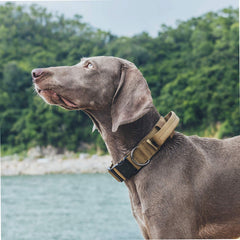 OneTigris heavy-duty metal buckle dog collar emphasizing secure fit