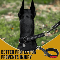 ONETIGRIS martingale collar with dual D-rings for tags and leash connections