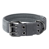 OneTigris military dog collar with padded nylon for everyday comfort during walks.