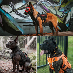 OneTigris No Pull harness MOLLE panel supports treat pouches and ID tags.
