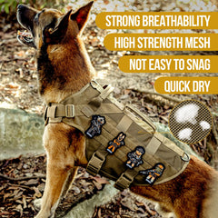 OneTigris No Pull harness back view highlights sturdy construction and control.