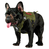OneTigris tactical dog harness Ranger Green XS front view, comfortable for daily walks.