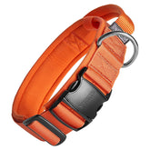 ONETIGRIS Tough Dog Collar with handle for controlled training and safer leash management on outdoor trips.
