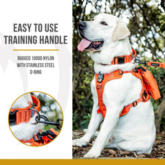 ONETIGRIS Tough Dog Collar wide design distributes pressure to reduce throat stress during walks.