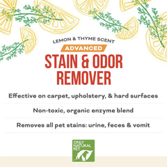 Only Natural Pet Advanced Dog Stain + Odor Remover applied on carpet for set-in stains.