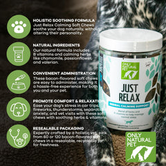 Only Natural Pet Just Relax dog on a calm walk after chews.