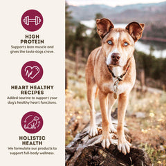 Only Natural Pet MaxMeat 2 lb bag front packaging highlighting natural ingredients
