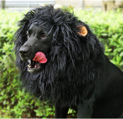 Onmygogo lion-mane-wig-dog-christmas - cute holiday look for festive photos and events.