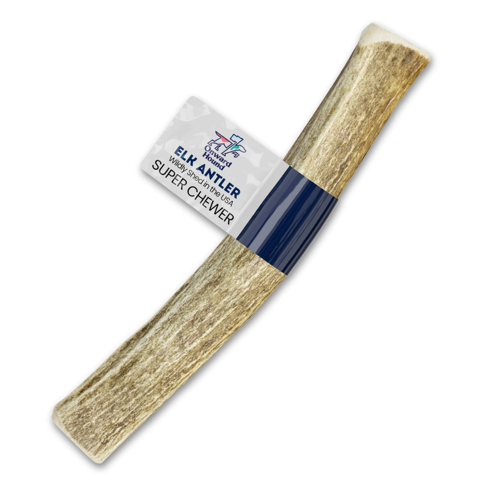 Onward Hound Elk Antler XXL Whole – durable chew for aggressive chewers