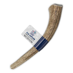 Onward Hound elk antlers for dogs 6in whole; durable enrichment for moderate chewers.