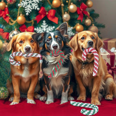 Onwoli candy cane rope texture close-up highlighting durable cotton fibers for safe chewing.