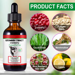 Onznoz cranberry extract for dogs highlights natural urinary health support.