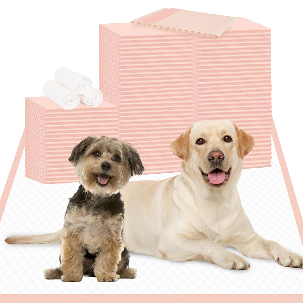 Oomicat XXL puppy pads 36x36 pack protects floors during training sessions.