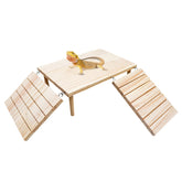 Oooct Bearded Dragon Basking Platform base offers secure resting and hiding retreat.