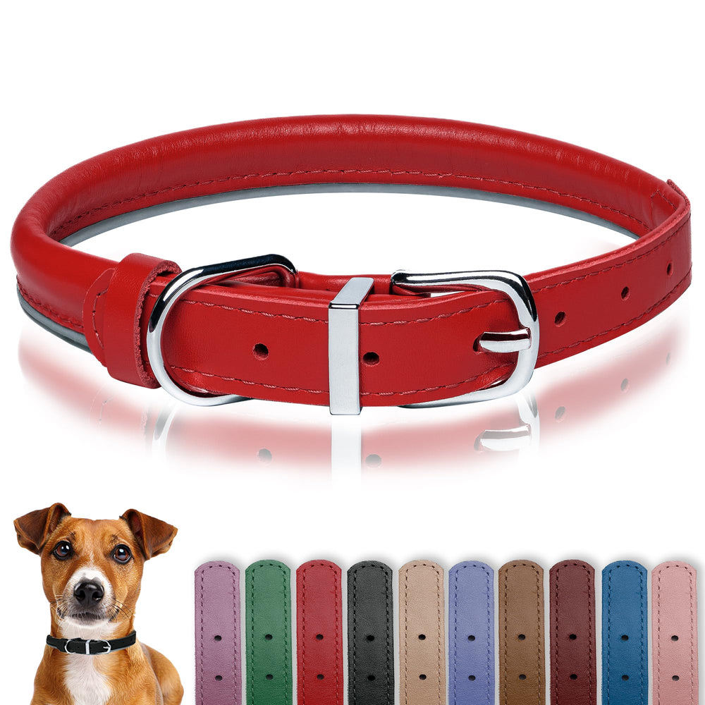 OOPSDOGGY rolled-leather-collar closeup shows premium leather texture for daily wear